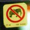 Warning pictogram inexplicably found on a candy machine